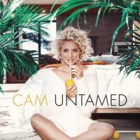 Want It All_Cam