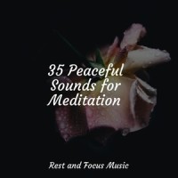 Wet Weather Whispers_Anxiety Relief,Pink Noise,Zarobi