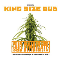 The Only Alternative_Dub Syndicate,Lee Scratch Perry