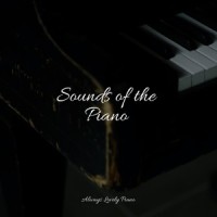 The Happy Place_Piano Pianissimo,Piano Therapy Sessions,Piano para Dormir