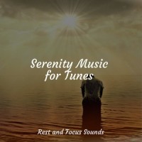 Twilight Mirage_Meditation & Stress Relief Therapy,Spa,Reiki Tribe