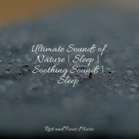 A Place in the Clouds_Deep Sleep,Classical Study Music,Pro Sound Effects Library