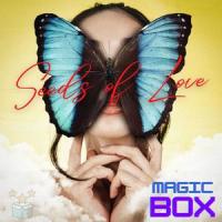 Dusk_Magic Box