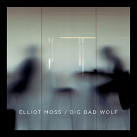 Best Light_Elliot Moss