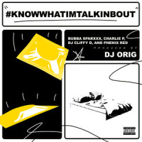 #KNOWHATIMTALKINBOUT(feat. Charlie P)_Bubba Sparxxx,DJ Cliffy D,Phenix Red