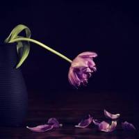 shouldn't have met_strictly cloud,Vict Molina
