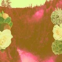 Intergalactic Vibe_Peaceful Me,Calming Waves,Vitamin Solace,Ashley Smith,Music Collectors