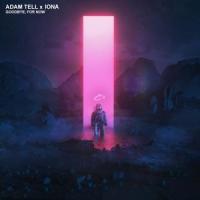 Goodbye, For Now_Adam Tell,Iona