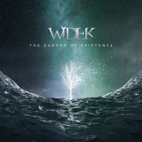 Falling from the Sky_Widek