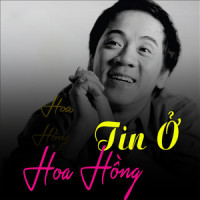 Tin ớ hoa hồng 2_Kim Thoa,Phi Thúy,Thành Lộc