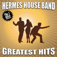 I Will Survive(Original Single Edit)_Hermes House Band