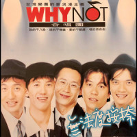 不爱了_WHY NOT
