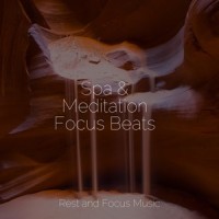 Pure Deep Sleep_Sounds of Nature White Noise for Mindfulness Meditation and Relaxation,Music For Absolute Sleep,Wellness