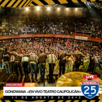 Sentimiento Original_Gondwana,Claudio Labbe Reyes,Zaturno
