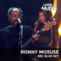 Mr. Blue Sky_Ronny Mosuse