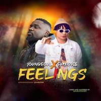 Feelings (feat. Sarkodie)_YOUNGSOUL,Sarkodie