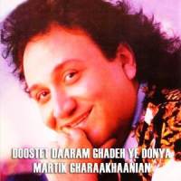 Doostet Daaram Ghadeh Ye Donya_Martik