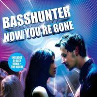 Now You're Gone(feat. DJ Mental Theos Bazzheadz)_Basshunter,DJ Mental Theos Bazzheadz