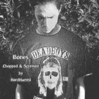 Iguess_Bones