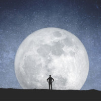 You're Not Alone_A Year on Earth,Samuel Burger