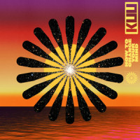 Voices (feat. Shungudzo)_Kuu,Alex Metric,Riton,Shungudzo