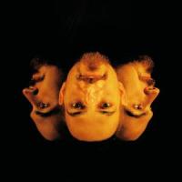 Vain(feat. Eleni)_Dadi Meister,Eleni