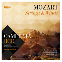 Quintet for 2 Violins, 2 Violas and Cello in C Minor, K. 406: III. Menuetto in Canone - Trio in Canone al rovescio_Camerata RCO