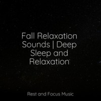 Mountain Mist_Sleep Sound Library,Kings of Nature,Sleepy Times