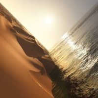 Give It Your Choir (feat. Bibio)_Mark Pritchard,Bibio