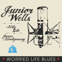 Worried Life Blues_Junior Wells,Mike Zito,James Montgomery