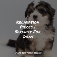 Fading Twilight_Calming Music for Dogs,Sleepy Dogs,Pet Care Music Therapy