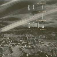 Blackcrow Hits Shoe Shine City_Rain Tree Crow