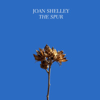 The Spur_Joan Shelley