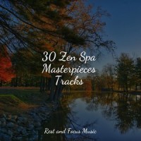 Stressless_Relajación,Natureza Musica Bem-Estar Academia,Sleepy Times