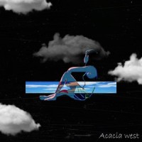 You can't save me_Acacia West,Shiloh Dynasty
