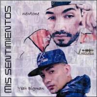 Mis sentimientos (feat. Newtone)_Yeah Bigman,NewTone
