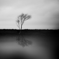 In The Dark_Brian Tuey