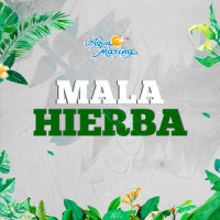 Mala Hierba_Agua Marina,Carlos Rincón Ruiz