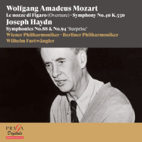 Symphony No. 94 in G Major, Hob. I:94 "Surprise": II. Andante_Wilhelm Furtwängler,Wiener Philharmoniker