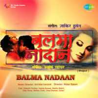 Nimla Tari Doli_Anuradha Paudwal