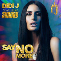 Say No More_DIDI J,Shaggy