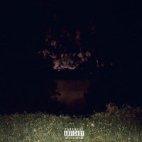 Numb_Felt