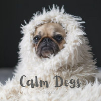 Dog Relaxed State_Sleepy Dogs,Calming for Dogs,Sleep Doggie