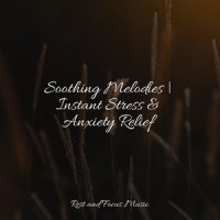 Unwind & Repeat_Exam Study Classical Music Orchestra,Deep Sleep,Study Power
