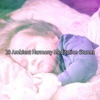 Flourishing Nights Storm_Rain Sounds,White Noise,Rain for Deep Sleep