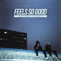 Feels So Good(feat. Aviella)_Yntendo,Sam F,Aviella
