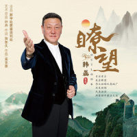瞭望_韩磊