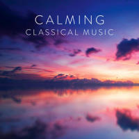 Andante cantabile (Arr. for Cello and Orchestra from String Quartet No. 1 in D Major, Op. 11)_Sol Gabetta,Münchner Rundfunkorchester,Pyotr Ilyich Tchaikovsky,Ari Rasilainen