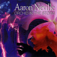 This Is My StoryWe Belong Together (Duet With Art Neville)_Aaron Neville