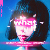 What If_Sunnery James & Ryan Marciano,Hannah Ellis
